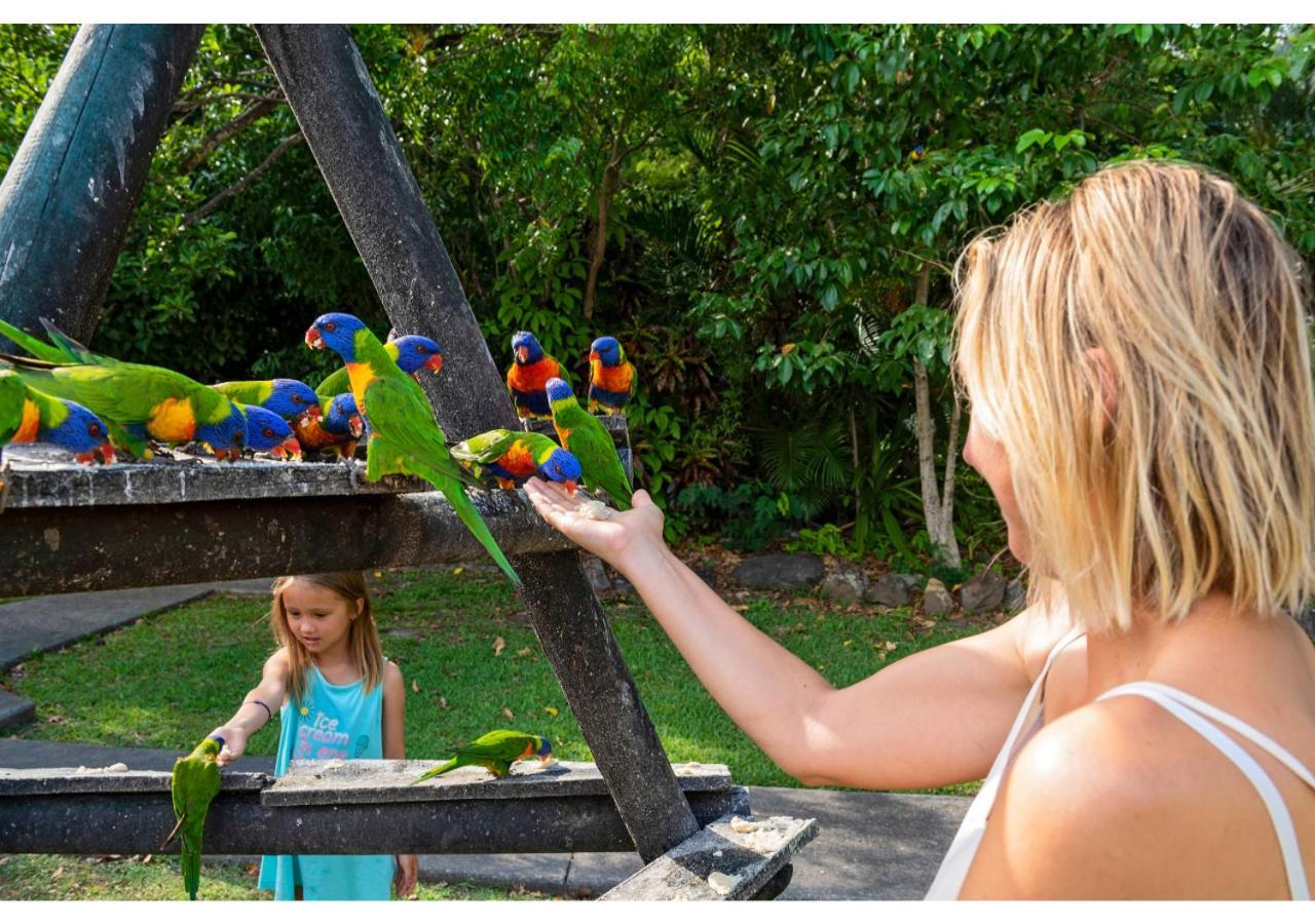 Discovery Parks - Airlie Beach Luaran gambar