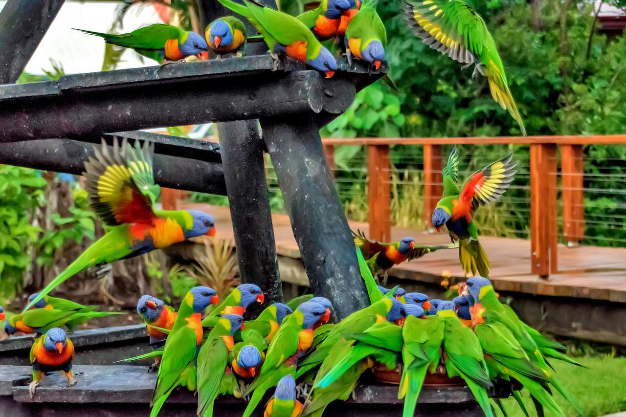 Discovery Parks - Airlie Beach Luaran gambar